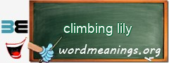 WordMeaning blackboard for climbing lily